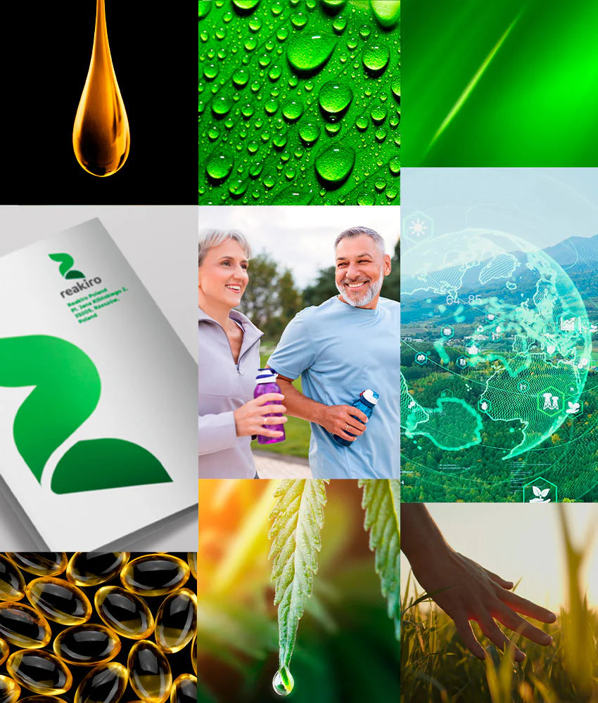 Завантажити відео: Про Reakiro